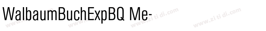 WalbaumBuchExpBQ Me字体转换